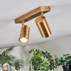 Javel Plafondlamp, Plafondspot Goud, 2-lichts