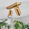 Javel Plafondlamp, Plafondspot Goud, 2-lichts