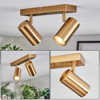 Javel Plafondlamp, Plafondspot Goud, 2-lichts