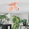 Javel Plafondlamp, Plafondspot Roze, Wit, 2-lichts
