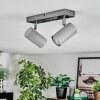 Javel Plafondlamp, Plafondspot Chroom, Grijs, 2-lichts