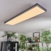 Salmi Plafondlamp, Paneel LED Grijs, Zilver, 1-licht, Afstandsbediening