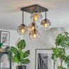 Ripoll Plafondlamp, Kogellampje Duidelijk, Rookkleurig, 5-lichts