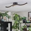 Arlan Plafondlamp LED Zwart, 1-licht