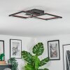 Binor Plafondlamp LED Natuurlijke kleuren, Zwart, 1-licht