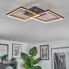 Binor Plafondlamp LED Natuurlijke kleuren, Zwart, 1-licht