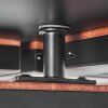 Binor Plafondlamp LED Natuurlijke kleuren, Zwart, 1-licht