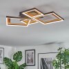 Binor Plafondlamp LED Natuurlijke kleuren, Zwart, 1-licht