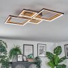 Binor Plafondlamp LED Natuurlijke kleuren, Zwart, 1-licht