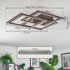 Binor Plafondlamp LED Natuurlijke kleuren, Zwart, 1-licht