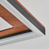 Binor Plafondlamp LED Natuurlijke kleuren, Zwart, 1-licht