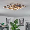 Binor Plafondlamp LED Natuurlijke kleuren, Zwart, 1-licht