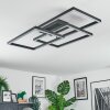 Brilo Plafondlamp LED Zwart, 1-licht