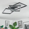Brilo Plafondlamp LED Zwart, 1-licht