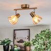 Saire Plafondlamp, Plafondspot Chroom, Messing, 2-lichts