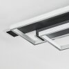 Olian Plafondlamp LED Zwart, Zilver, 1-licht