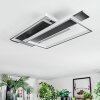 Olian Plafondlamp LED Zwart, Zilver, 1-licht