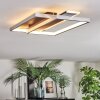 Olian Plafondlamp LED Zwart, Zilver, 1-licht