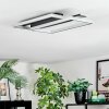 Olian Plafondlamp LED Zwart, Zilver, 1-licht