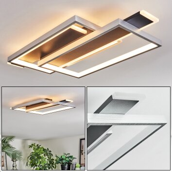 Olian Plafondlamp LED Zwart, Zilver, 1-licht