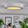 Omaro Plafondlamp, Paneel LED Wit, 1-licht