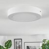 Omaro Plafondlamp, Paneel LED Wit, 1-licht