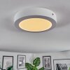 Omaro Plafondlamp, Paneel LED Wit, 1-licht