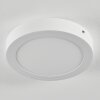 Omaro Plafondlamp, Paneel LED Wit, 1-licht