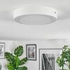 Omaro Plafondlamp, Paneel LED Wit, 1-licht, Kleurwisselaar