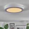 Omaro Plafondlamp, Paneel LED Wit, 1-licht, Kleurwisselaar