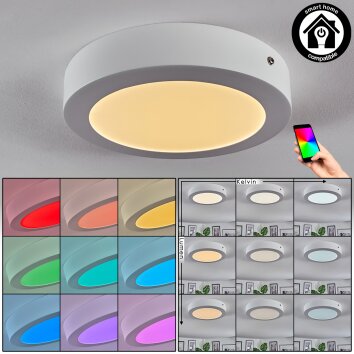 Omaro Plafondlamp, Paneel LED Wit, 1-licht