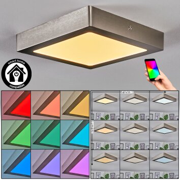 Omaro Plafondlamp, Paneel LED Nikkel mat, 1-licht