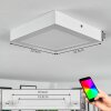 Omaro Plafondlamp, Paneel LED Wit, 1-licht