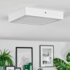 Omaro Plafondlamp, Paneel LED Wit, 1-licht