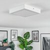 Omaro Plafondlamp, Paneel LED Wit, 1-licht
