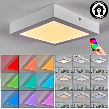 Omaro Plafondlamp, Paneel LED Wit, 1-licht