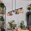 Koyoto Hanglamp, Kogellampje, Hanglamp Amber, Chroom, Duidelijk, Rookkleurig, 5-lichts Koyoto Hanglamp, Kogellampje, Hanglamp Amber, Chroom, Duidelijk, Rookkleurig, 5-lichts