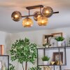 Ripoll Plafondlamp, Kogellampje Amber, Rookkleurig, 5-lichts