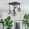 Ripoll Plafondlamp, Kogellampje Chroom, Duidelijk, Rookkleurig, 5-lichts