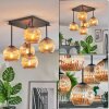 Ripoll Plafondlamp, Kogellampje Amber, 5-lichts