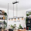 Koyoto Hanglamp, Kogellampje, Hanglamp Amber, Duidelijk, 5-lichts