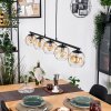 Ripoll Hanglamp, Kogellampje, Hanglamp Amber, Duidelijk, 5-lichts