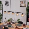 Ripoll Hanglamp, Kogellampje, Hanglamp Amber, Duidelijk, 5-lichts
