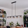 Ripoll Hanglamp, Kogellampje, Hanglamp Duidelijk, Rookkleurig, 5-lichts