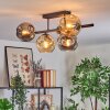 Ripoll Plafondlamp, Kogellampje Amber, Duidelijk, Rookkleurig, 5-lichts