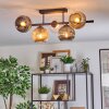 Ripoll Plafondlamp, Kogellampje Amber, Duidelijk, Rookkleurig, 5-lichts