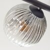 Ripoll Plafondlamp, Kogellampje Amber, Duidelijk, Rookkleurig, 5-lichts