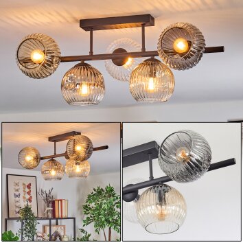 Ripoll Plafondlamp, Kogellampje Amber, Duidelijk, Rookkleurig, 5-lichts