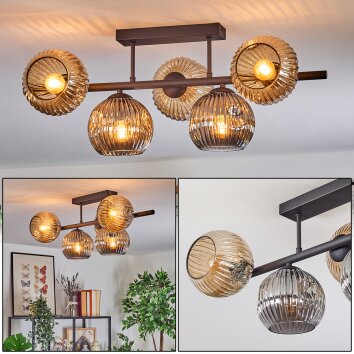 Ripoll Plafondlamp, Kogellampje Amber, Rookkleurig, 5-lichts Ripoll Plafondlamp, Kogellampje Amber, Rookkleurig, 5-lichts