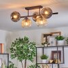 Ripoll Plafondlamp, Kogellampje Amber, Duidelijk, Rookkleurig, 5-lichts